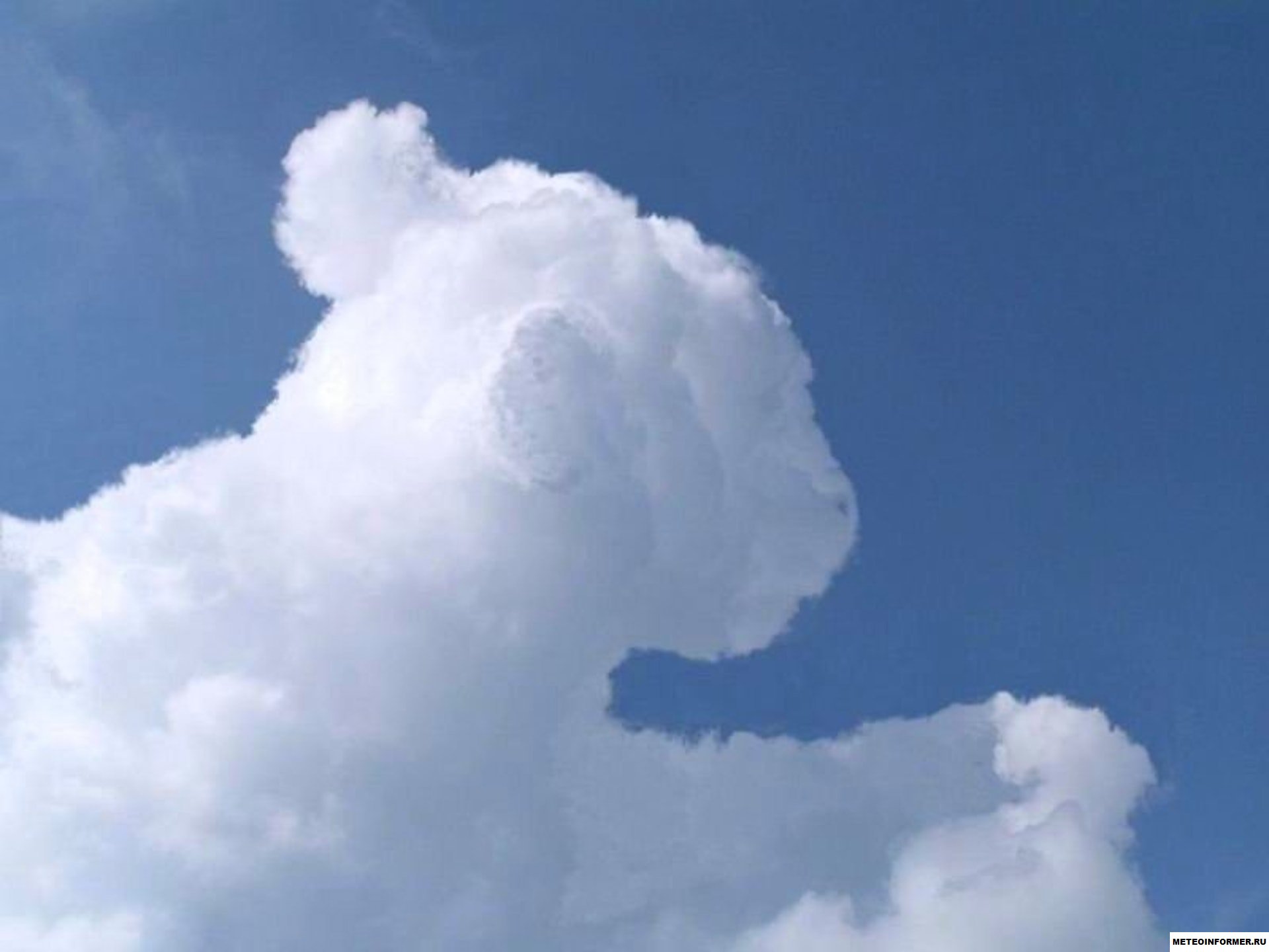 Облако казалось застыло. Облака причудливой формы. Облака похожие на животных. Облака интересной формы. Фигура облако.